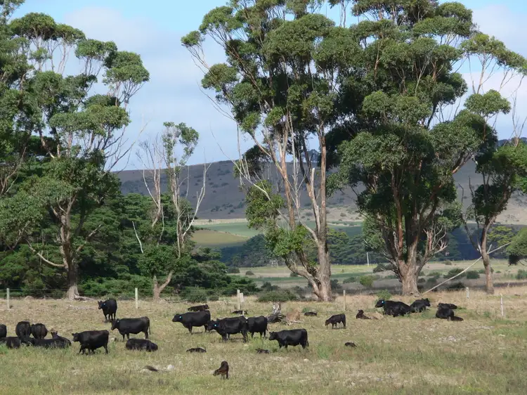 Second view of Homely rural property listing, 80 Graham McDonald Road, Dreeite VIC 3249