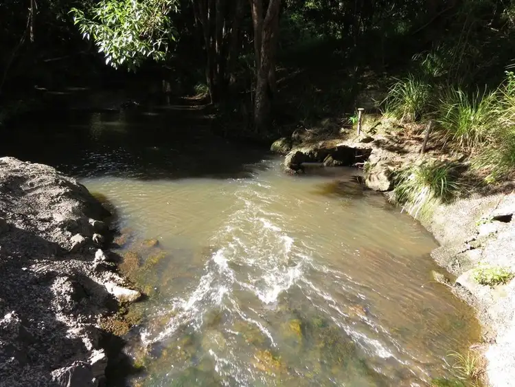 Third view of Homely rural property listing, 196 Rowlands creek Road, Uki NSW 2484