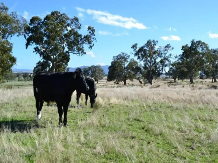 Third view of Homely land listing, LOT 39 Kareen Court, Mansfield VIC 3722