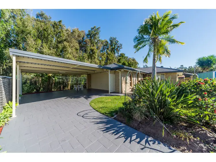 41 Numbat Court West, Coombabah QLD 4216