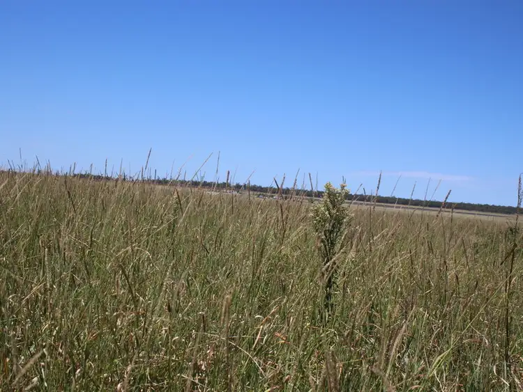 Fifth view of Homely rural property listing, Lot 6 Corner of Terra Bella and Weier Road, Clifton QLD 4361