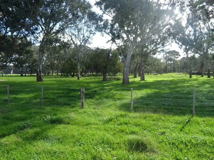 Fifth view of Homely rural property listing, 64 Chrome Road, Branxholme VIC 3302