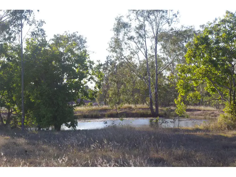 Seventh view of Homely rural property listing, 142 Brigalow Street, Placid Hills QLD 4343
