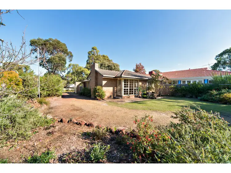 Main view of Homely house listing, 41 Beech Street, Langwarrin VIC 3910