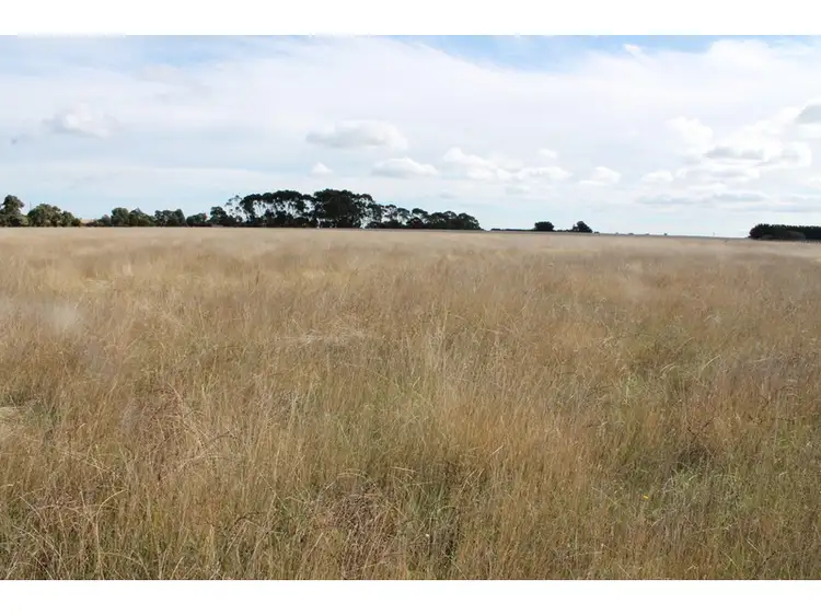 Seventh view of Homely rural property listing, 1075 Larpent Road, Larpent VIC 3249