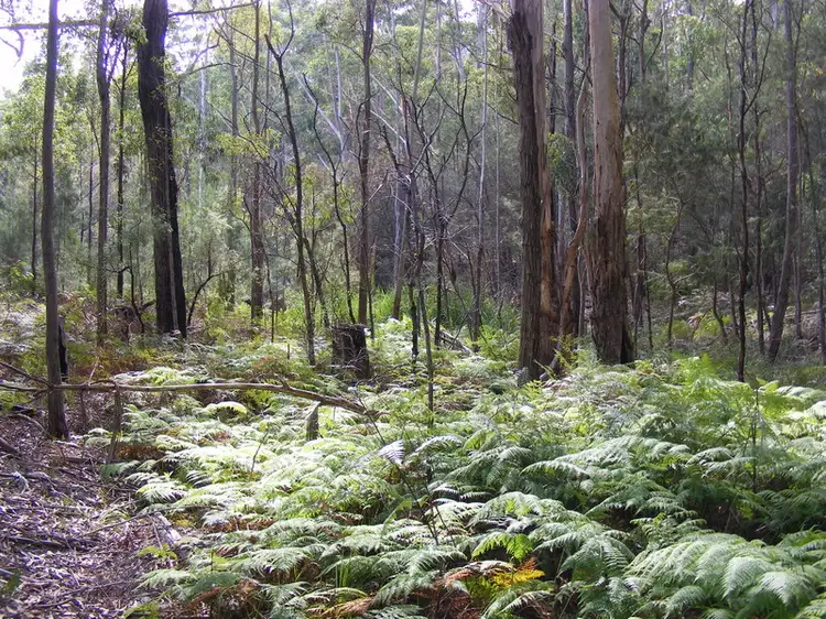 Fifth view of Homely rural property listing, 121 Wallagoot Lake Road, Wallagoot NSW 2550