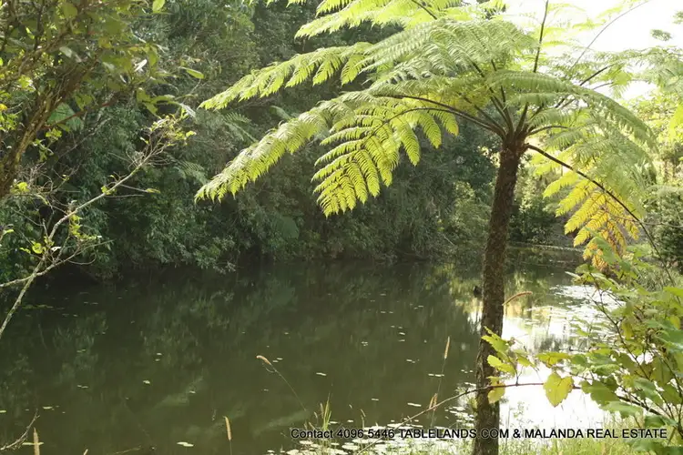 Sixth view of Homely rural property listing, F454   1148 Glen Allyn Road, Glen Allyn QLD 4885