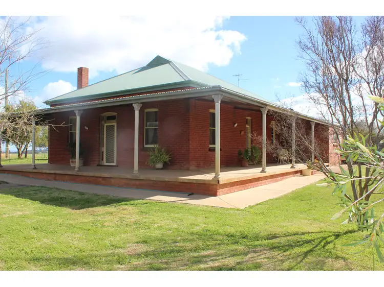 459 Hoopers Road, Forbes NSW 2871