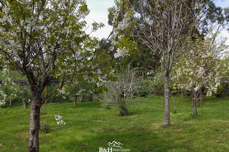 Seventh view of Homely rural property listing, 80 Penima Road, Ridgley TAS 7321