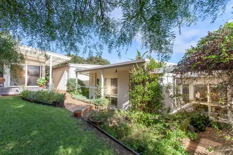 Main view of Homely house listing, 14 Heyfield Road, Rye VIC 3941