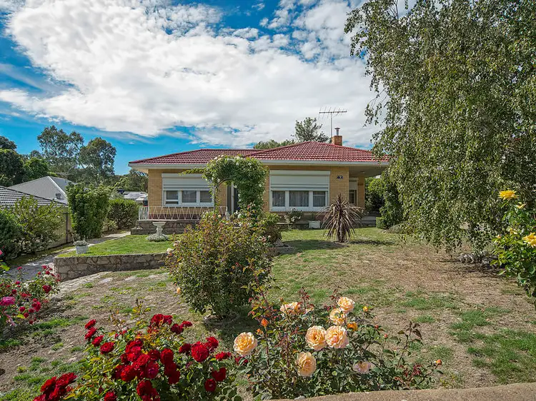 Address available on request