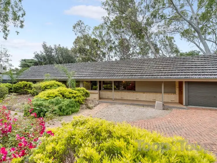 Main view of Homely house listing, 39 Stonyfell Road, Wattle Park SA 5066