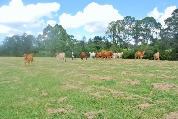 Second view of Homely land listing, 165 Pagan Road, Yatala QLD 4207