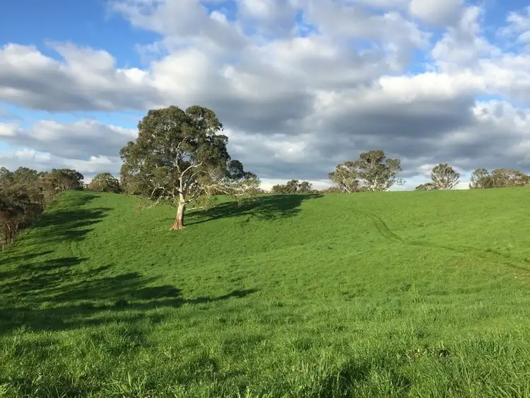 Seventh view of Homely rural property listing, Address available on request