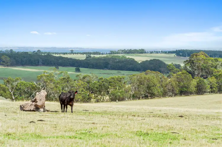 55 Bambra School Road, Bambra VIC 3241