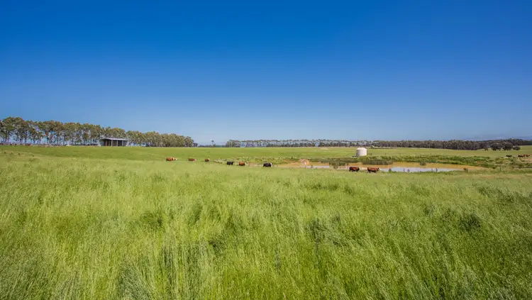 Fifth view of Homely rural property listing, Hazelwood Road, Traralgon VIC 3844