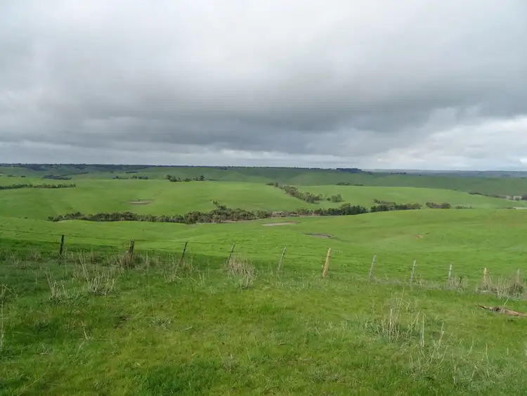Fifth view of Homely rural property listing, McInnes Road, Coleraine VIC 3315