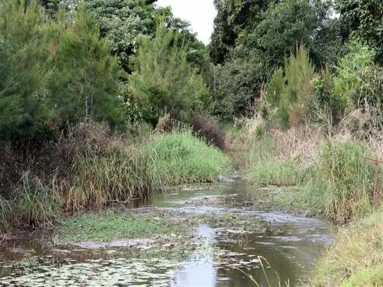 Seventh view of Homely rural property listing, L201/Lot 26 Hunt Road, Peeramon QLD 4885