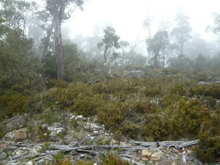 Second view of Homely land listing, LOT 689 Ruby Lane, Miena TAS 7030