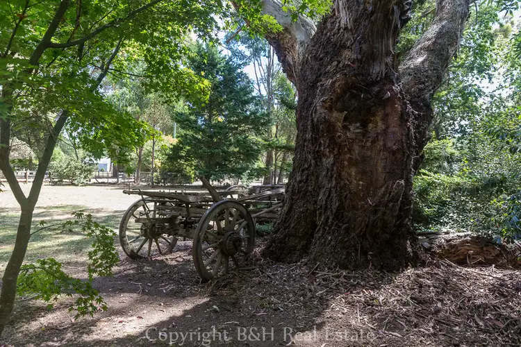 Fourth view of Homely rural property listing, 393 Lockwoods Road, Claude Road TAS 7306