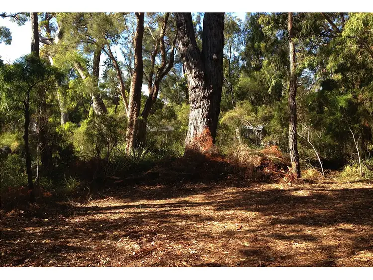 11 Howe Court, Walpole WA 6398