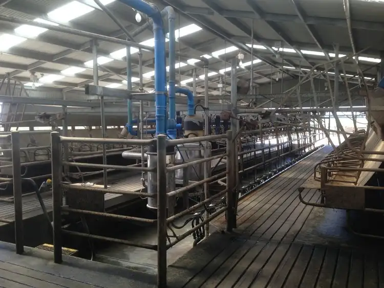 Fourth view of Homely rural property listing, 680 Wiridgil Lane, Camperdown VIC 3260