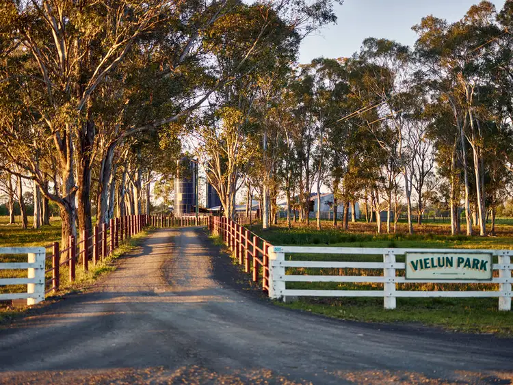 Main view of Homely rural property listing, 505 Cuthill Road, Cobbitty NSW 2570