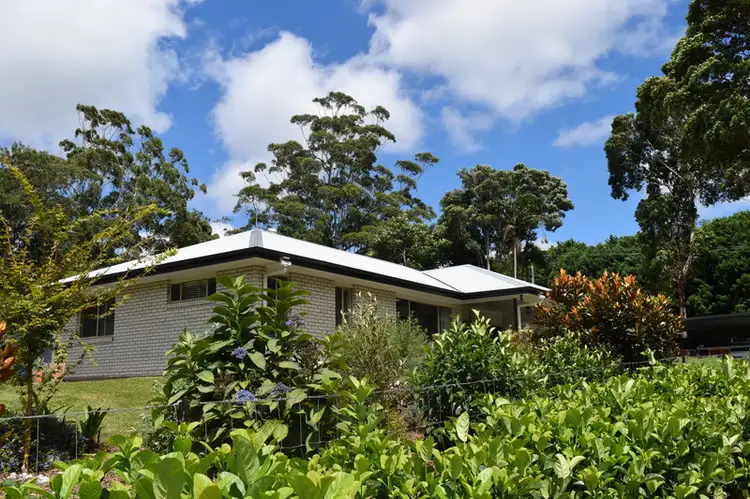 Main view of Homely house listing, 358 LONG Road, Tamborine Mountain QLD 4272