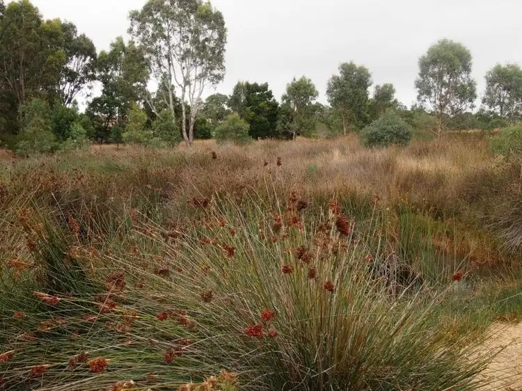 Third view of Homely land listing, 1871 Glenelg Highway, Wannon VIC 3301