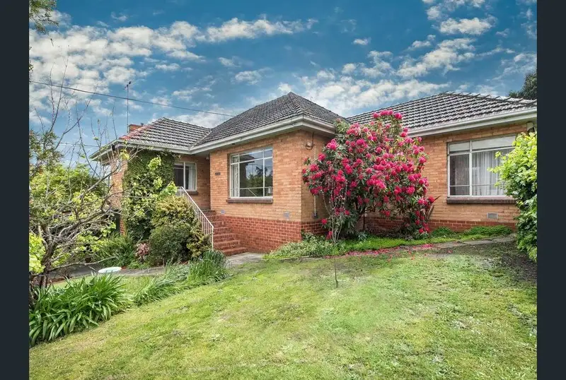 Main view of Homely house listing, 116 Shannon Street, Box Hill North VIC 3129