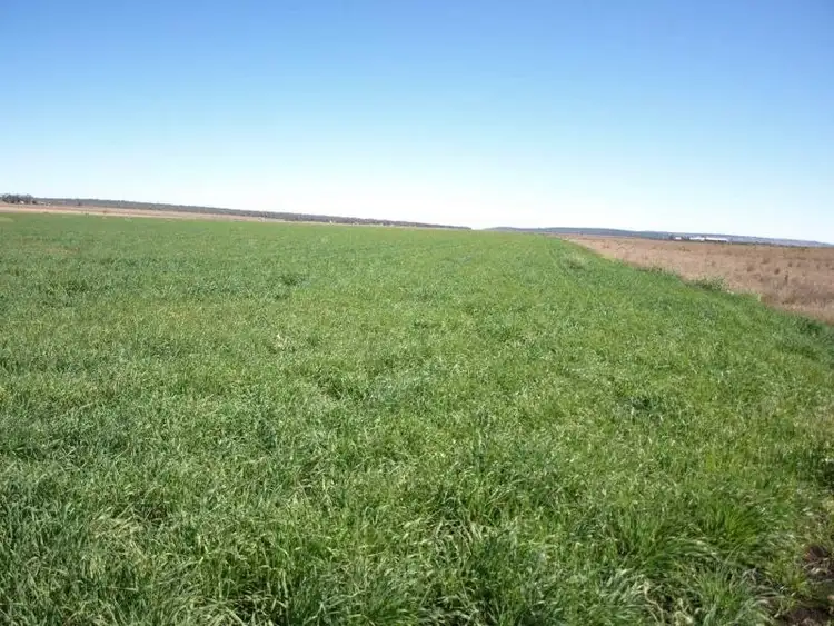 Sixth view of Homely rural property listing, Lot 9 Weier Road, Clifton QLD 4361