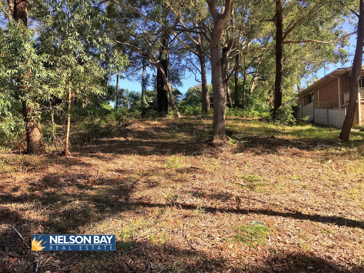 Main view of Homely land listing, 13 James Scott Crescent, Lemon Tree Passage NSW 2319