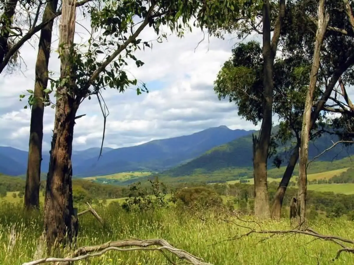 Main view of Homely land listing, 207 McCormacks Road, Mansfield VIC 3722
