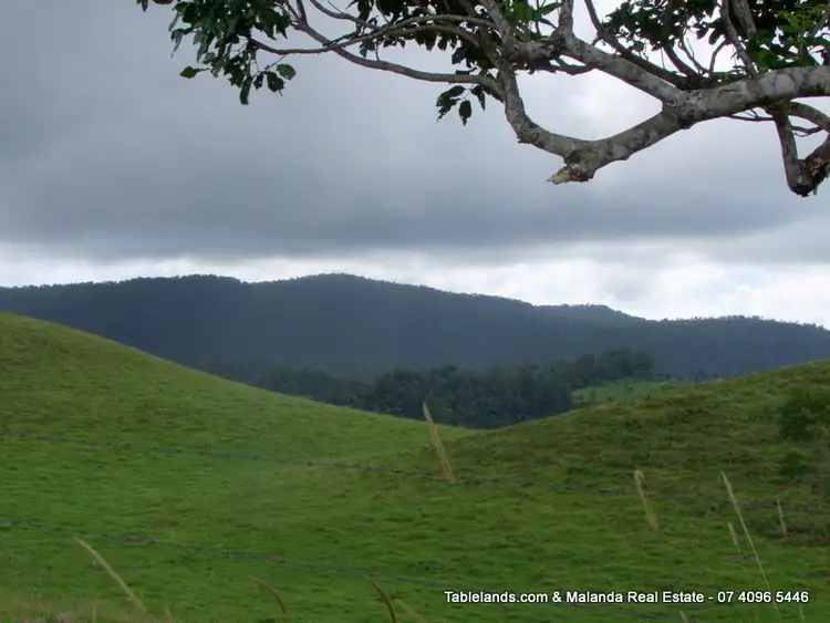 Seventh view of Homely rural property listing, LS502/26 Biggs Road, Millaa Millaa QLD 4886