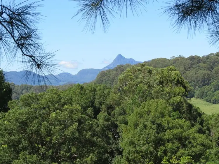 Main view of Homely rural property listing, 649 Tomewin Road, Tomewin NSW 2484