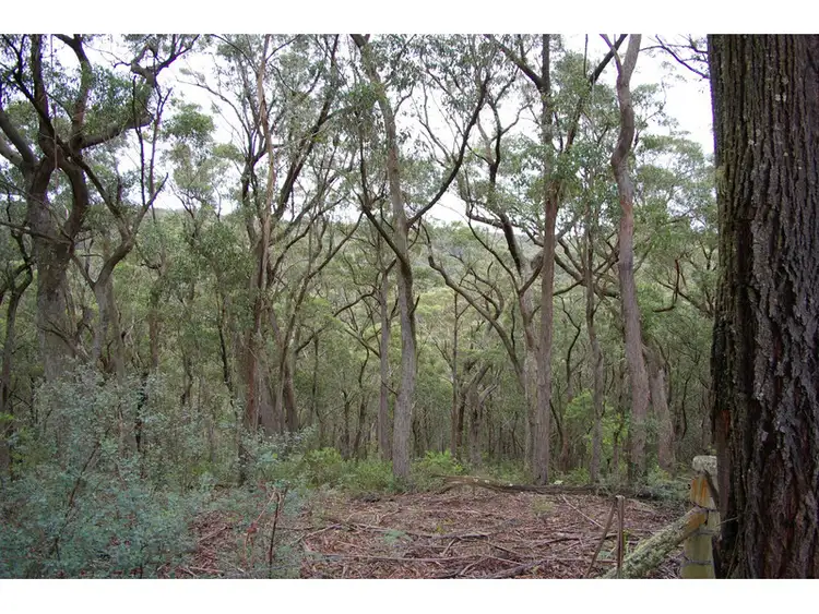 Second view of Homely rural property listing, 1177 Penrose Road, Penrose NSW 2579