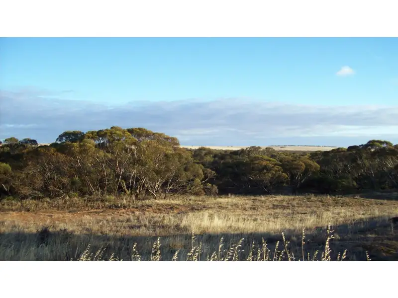 Main view of Homely rural property listing, Address available on request