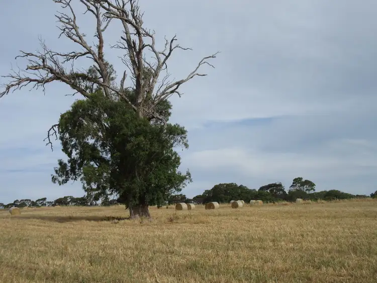 Third view of Homely rural property listing, Lots 1 & 2 off Langrehr Road, Finniss SA 5255