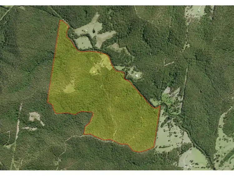 Second view of Homely rural property listing, 518 Pappinbarra Road, Beechwood NSW 2446
