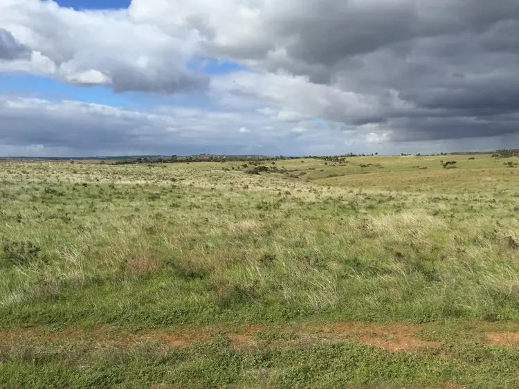 Third view of Homely rural property listing, 599, LOT 599 Caloote Road, Caloote SA 5254