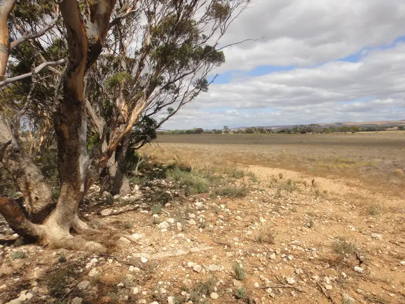 Main view of Homely rural property listing, Address available on request