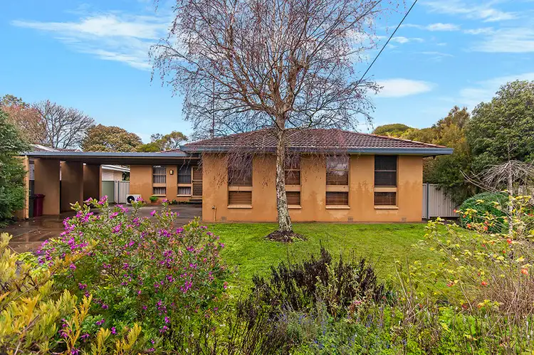 8 McDonald Avenue, Hamilton VIC 3300