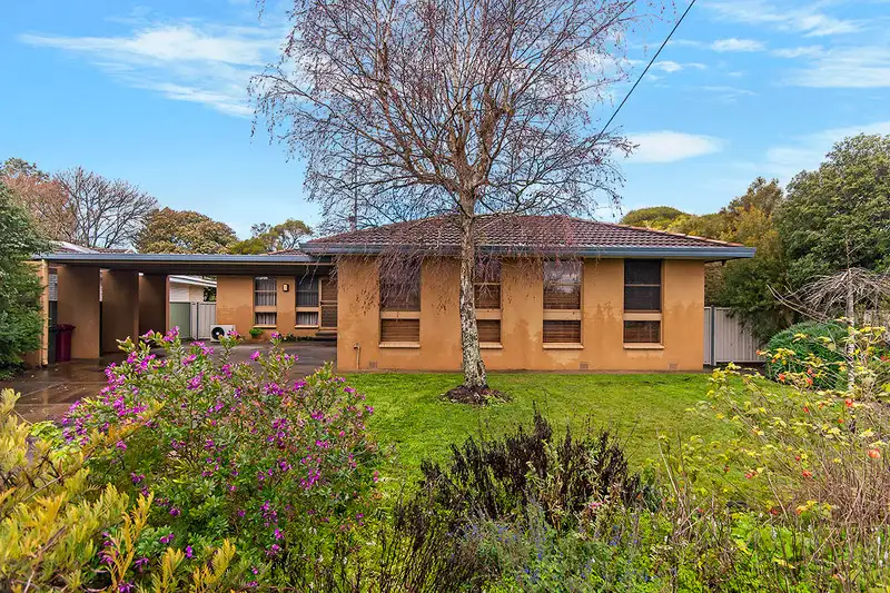 Main view of Homely house listing, 8 McDonald Avenue, Hamilton VIC 3300