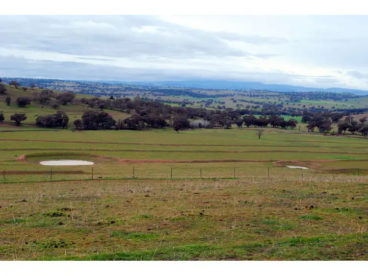 Fourth view of Homely rural property listing, 'Mackeys Spring' Coates Creek Road, Manildra NSW 2865