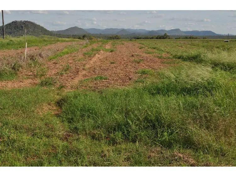 Second view of Homely rural property listing, 3/1013 Mareeba-Dimbulah Road, Mareeba QLD 4880