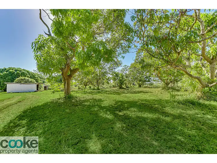 Fifth view of Homely rural property listing, 897 Tanby Road, Tanby QLD 4703