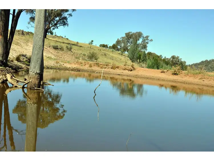 Third view of Homely rural property listing, 'Mackeys Spring' Coates Creek Road, Manildra NSW 2865
