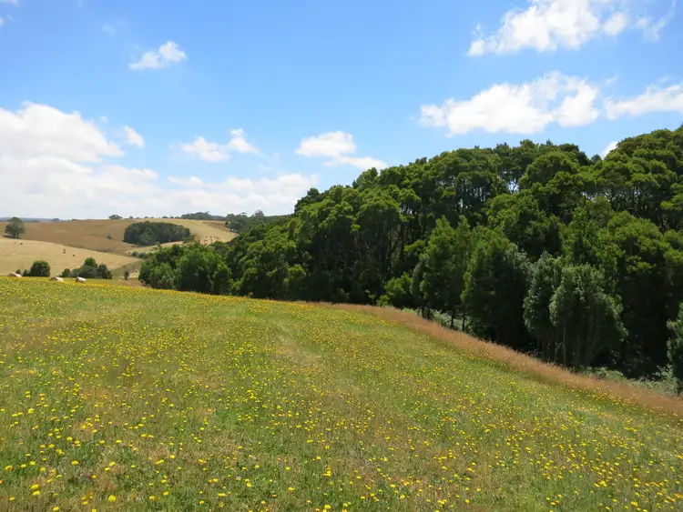 Fifth view of Homely land listing, 60 Dehnerts Track, Beech Forest VIC 3237