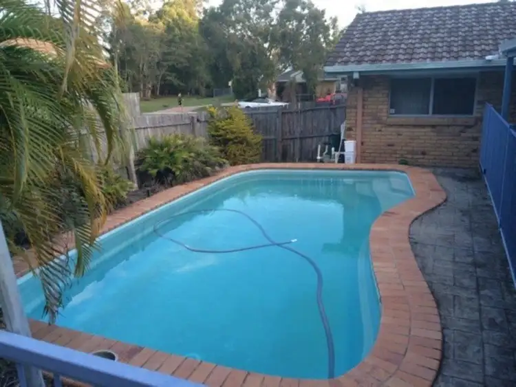 Main view of Homely house listing, 31 Jingellic Drive, Buderim QLD 4556