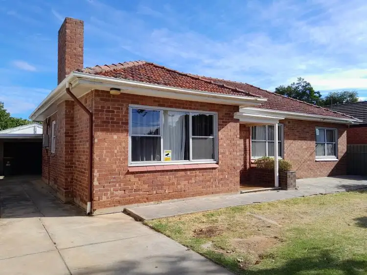 19 Muller Road